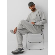 Men's jogger sweatpants 4F 4FRAW26TTROM2176-27M
