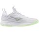 2. Mizuno WAVE LUMINOUS ELITE W V1GC262085 shoes