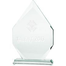 3D engraved glass trophy with case