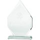 3D engraved glass trophy with case