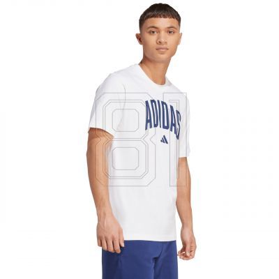 4. adidas Collegiate Lineage Graphic T-shirt M JM6416
