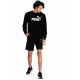 5. Puma ESS Big Logo Crew M sweatshirt 586680 01