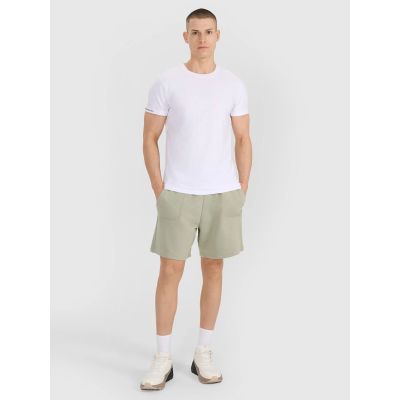 6. Men's regular plain T-shirt 4F 4FRSS25TTSHM3041-10S