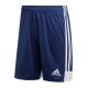 2. Adidas Tastigo 19 M DP3245 shorts