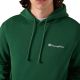 4. Champion Hooded Sweatshirt Men's Green 221790 GS559