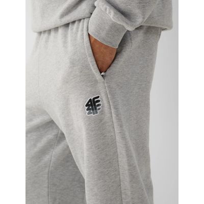4. Men's jogger sweatpants 4F 4FRAW26TTROM2176-27M