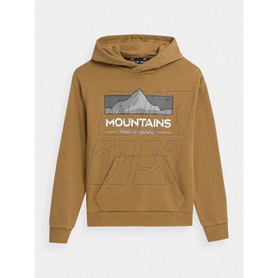 4F Jr sweatshirt 4FJAW23TSWSM634-74S