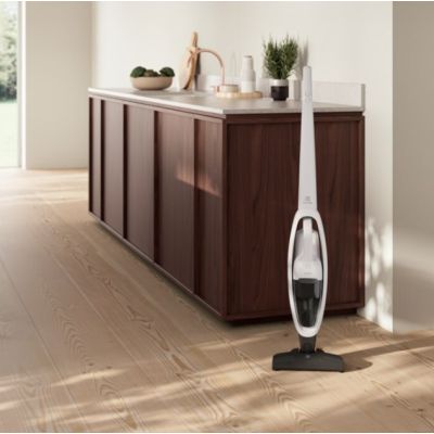 7. ELECTROLUX ES31CB18SH vacuum cleaner