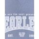 9. Boy's regular hooded sweatshirt 4F 4FJRSS26TSWSM2637-32S