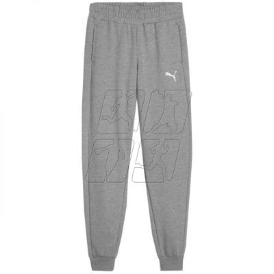 4. Puma Team Goal Jr pants 658601 33