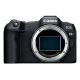 Canon EOS R8 - RF 24-50mm Digital Camera