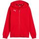 Puma teamGoal Casuals Hooded kids' sweatshirt red 658596 01