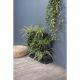 24. VERTICAL GARDEN FLOWER BED STANDING ANTHRACITE