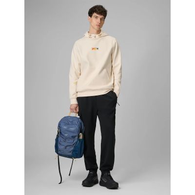 3. Men's regular hooded sweatshirt 4F 4FRSS26TSWSM2894-12S