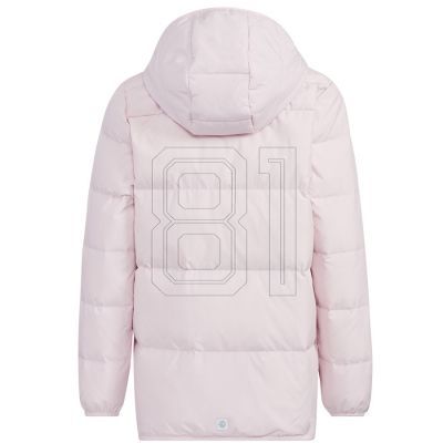 7. Jacket adidas Frosty Jacket Jr. HM5237