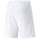 2. Puma teamRISE Short M 704942 03