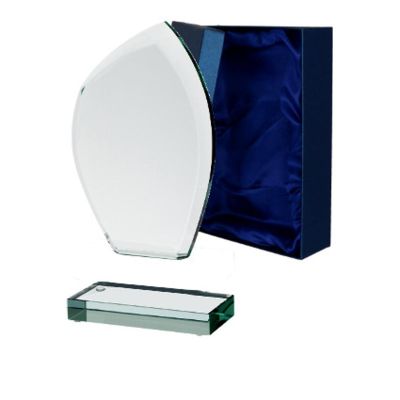 3. Glass trophy with a detached base and case