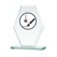 3. Engraved glass trophy + paint filling