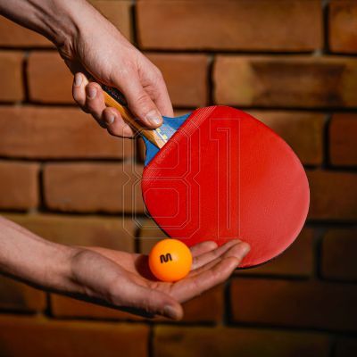 10. Meteor Windstorm 15018 Table Tennis Racket