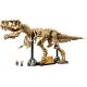 3. LEGO 76968 Jurassic World - Dinosaur Skeletons, Tyrannosaurus