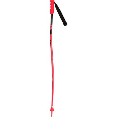 2. ROSSIGNOL HERO GS-SG JR Ski Poles