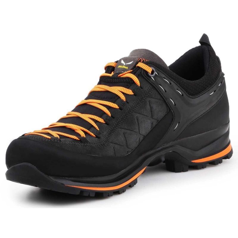 4. Salewa MS MTN Trainer 2 GTX M shoes 61356-0933