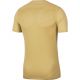 4. Nike Dry Park VII JSY SS JR BV6741-729 football jersey