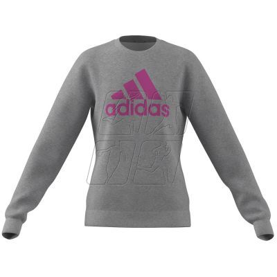 3. Sweatshirt adidas Big Logo Swt Jr IC6118