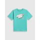 5. Boy's cotton T-shirt 4F 4FJRSS26TTSHM4174-047S