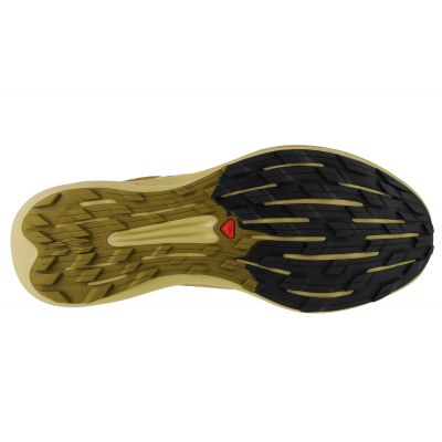 8. Salomon Pulsar Trail-Pro M 415936 shoes