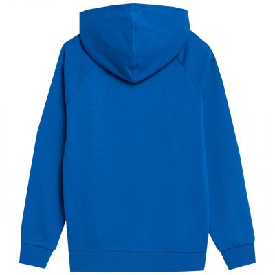 4. 4F Jr sweatshirt 4FJSS23TSWSM220 36S