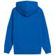 4. Sweatshirt 4F Jr. 4FJSS23TSWSM220 36S