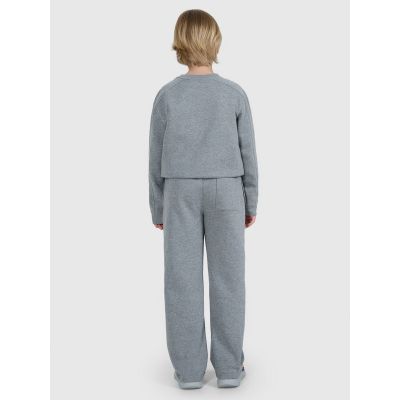2. Boys' sweatpants 4F 4FJRAW25TTROM1670-20S
