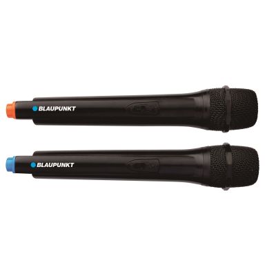 9. PartyBox Blaupunkt PB06DB (Bluetooth and karaoke)