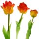 16. ORANGE TULIP 38CM LIFE-LIKE SPRING DECORATION