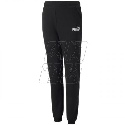 Pants Puma Alpha Sweatpants FL cL G Jr 670222 01