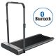 38. Kingsmith WalkingPad TRR1F R1 Sports Treadmill
