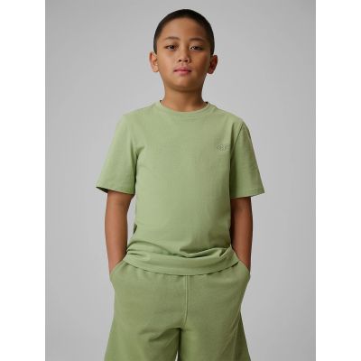 Boy's regular plain T-shirt 4F 4FJRSS26TTSHM3598-47S