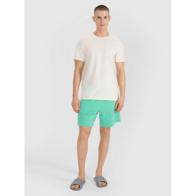 4. Men's t-shirt with print 4F 4FRSS25TTSHM2687-11S