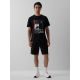 5. Men's regular printed T-shirt 4F 4FRAW26TTSHM4447-20S