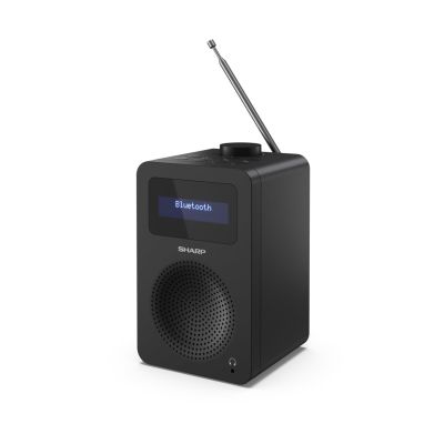 2. Sharp DR-430 Personal Digital Black