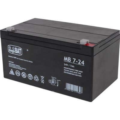 AGM Gel Battery for Vehicles with 24V7AH Battery