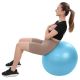 16. FITNESS BALL 65CM ANTIBURST BLUE