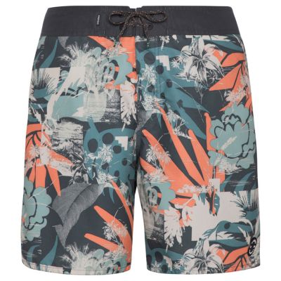 2. Protest PRTARYF beach shorts (P2710621/672)