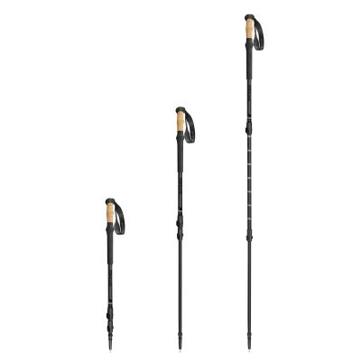 4. Spokey Zodiac trekking poles 105-135 cm three-segment SPK-944817
