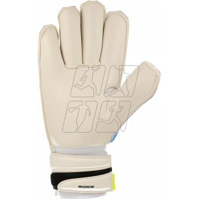 2. Goalkeeper gloves Puma evoPOWER Grip 2.3 GC 04122301