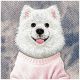 6. Nimmy Gentle Pets Series Dog MagSafe case for iPhone 17 Pro - pink
