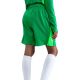 2. Nike FC Barcelona 2025/26 Stadium Goalkeeper Kids' Shorts Green HQ0475 310