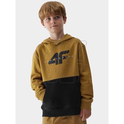 3. 4F Jr sweatshirt 4FJAW23TSWSM628-74S