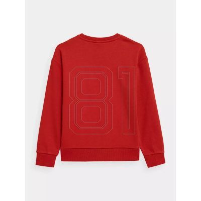 14. Sweatshirt 4F Jr. 4FJSS23TSWSM222-62S